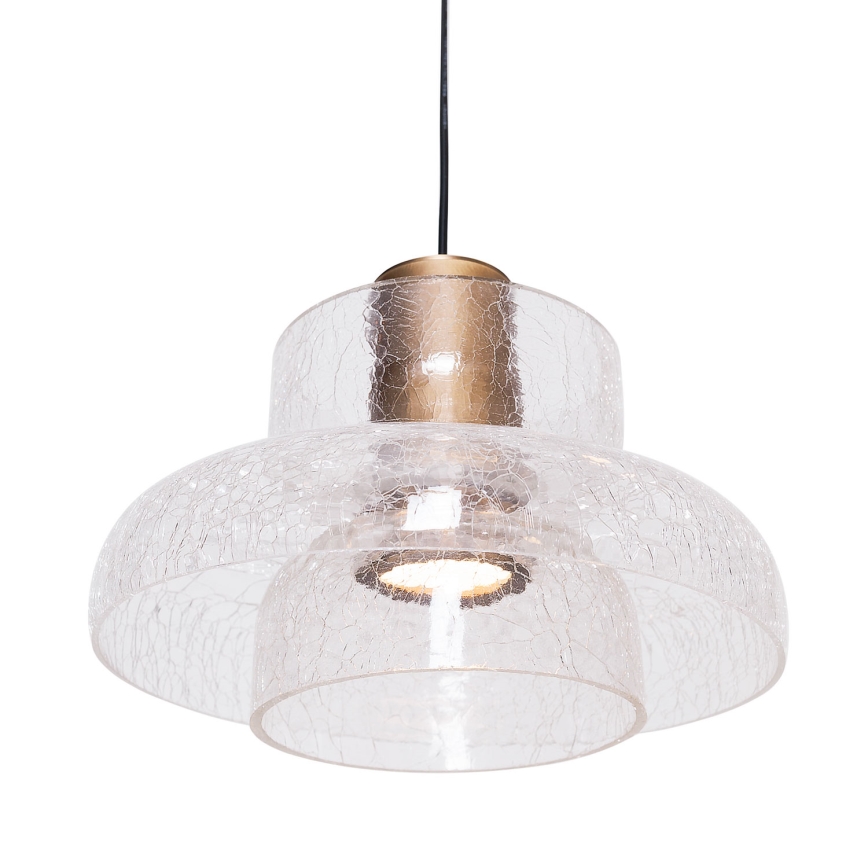 MAXLIGHT P0532 - LED Luster na sajli SIGNATURE LED/8W/230V pr. 22 cm mesing/prozirna