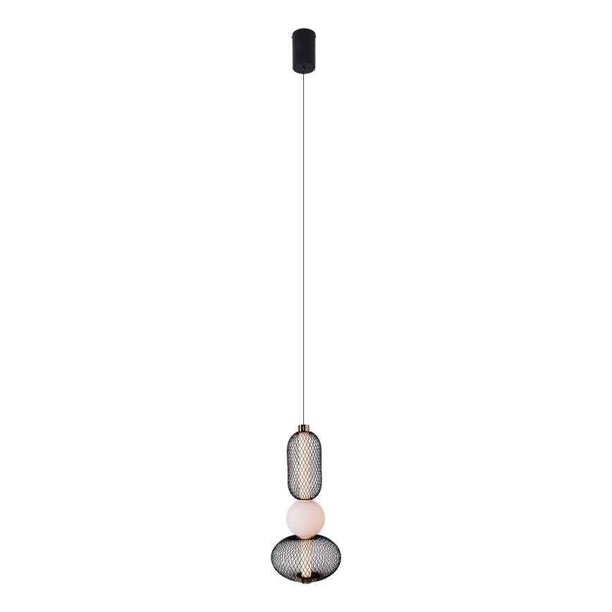 MAXLIGHT P0591 - LED Luster na sajli BORA LED/10W/230V pr. 22 cm bijela/crna
