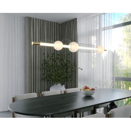 MAXLIGHT P0593 - LED Luster na sajli BORA LED/29W/230V bijela/crna