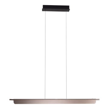 MAXLIGHT P0597 - LED prigušivač luster na užetu JO-JO LED/40W/230V 2700/4500/5500K antracit