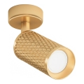 Maytoni C034CL-01G - Spot svjetiljka FOCUS 1xGU10/10W/230V zlatna