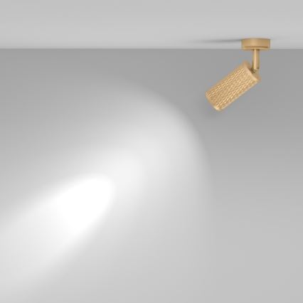Maytoni C034CL-01G - Spot svjetiljka FOCUS 1xGU10/10W/230V zlatna