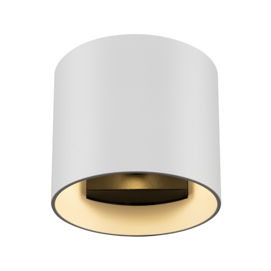 Maytoni C066WL-01W - Zidna svjetiljka ROND 1xG9/50W/230V bijela