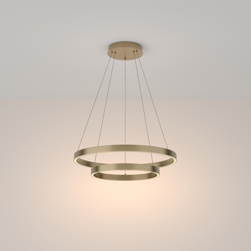 Maytoni MOD058PL-L55BS3K - LED Luster na sajli RIM LED/61W/230V 3000K pr. 60 cm zlatna