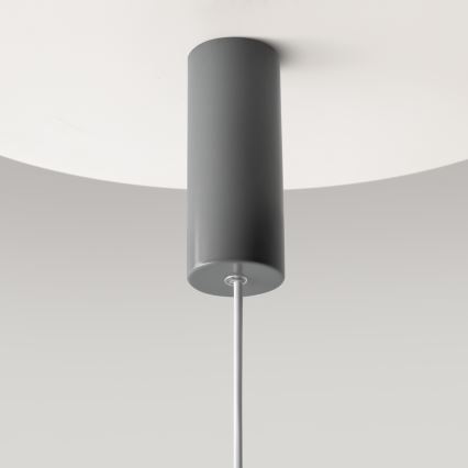 Maytoni MOD189PL-L12GR3K1 - LED luster na sajli GERHARD LED/19W/230V Ø 30 cm siva
