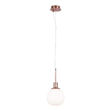 Maytoni MOD221-PL-01-G - Luster na sajli ERICH 1xE14/40W/230V bakrena