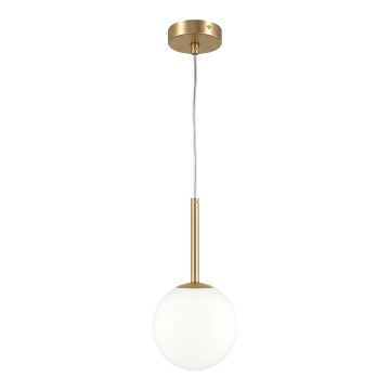 Maytoni MOD321PL-01G1 - Luster na sajli BASIC 1xE14/40W/230V zlatna