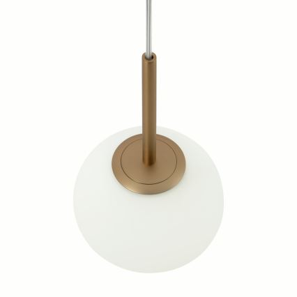 Maytoni MOD321PL-01G1 - Luster na sajli BASIC 1xE14/40W/230V zlatna