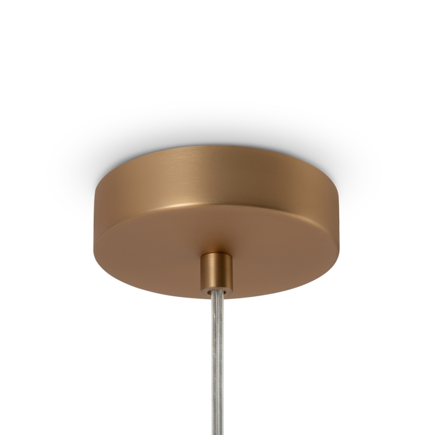 Maytoni MOD321PL-01G1 - Luster na sajli BASIC 1xE14/40W/230V zlatna