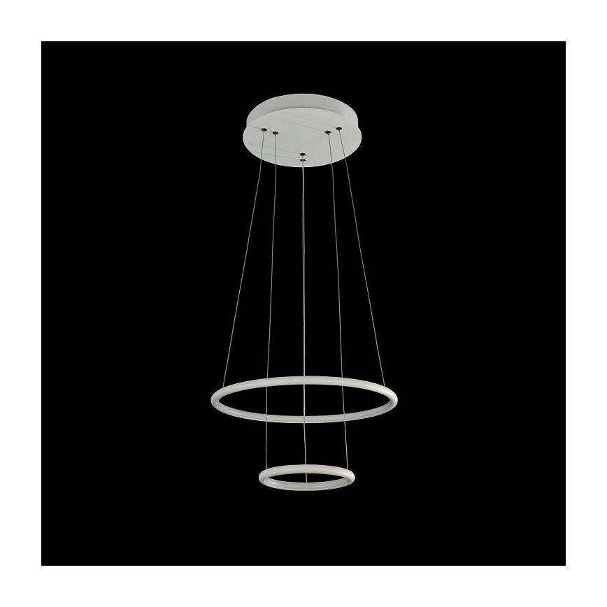 Maytoni MOD807-PL-02-36-W - LED luster na sajli NOLA LED/36W/230V
