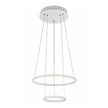 Maytoni MOD807-PL-02-36-W - LED luster na užetu NOLA LED/36W/230V