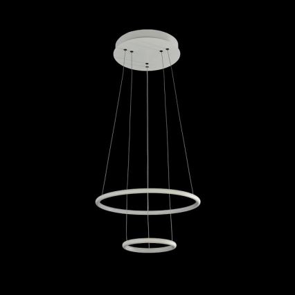 Maytoni MOD807-PL-02-36-W - LED luster na užetu NOLA LED/36W/230V
