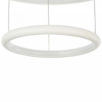 Maytoni MOD807-PL-02-36-W - LED luster na užetu NOLA LED/36W/230V