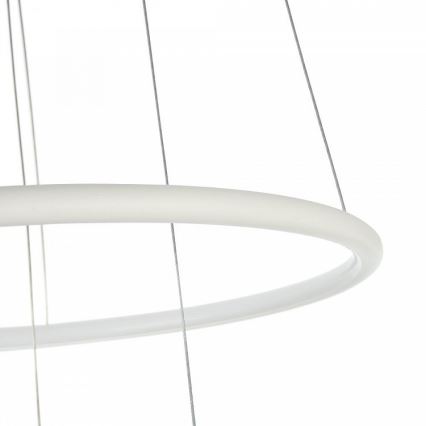 Maytoni MOD807-PL-02-36-W - LED luster na užetu NOLA LED/36W/230V