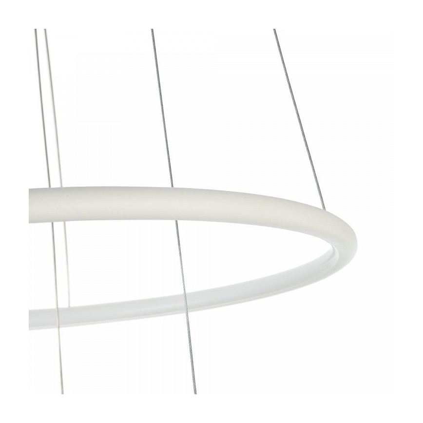 Maytoni MOD807-PL-02-36-W - LED luster na užetu NOLA LED/36W/230V