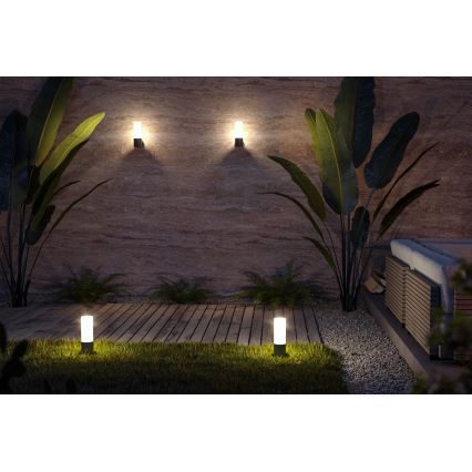 Maytoni O418FL-01B - Vanjska lampa WILLIS 1xE27/60W/230V 30 cm IP54 crna