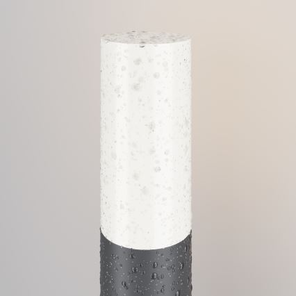 Maytoni O418FL-01GR1 - Vanjska lampa WILLIS 1xE27/60W/230V 80 cm IP54 antracit