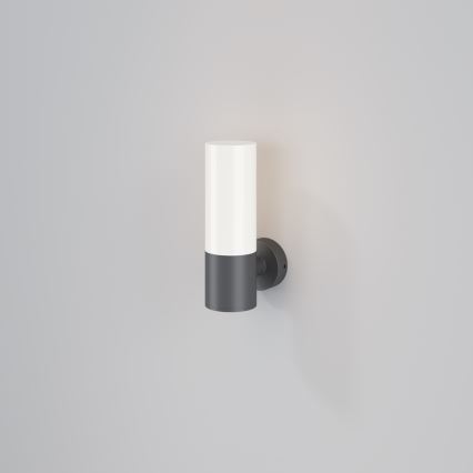 Maytoni O418WL-01GR - Vanjska zidna svjetiljka WILLIS 1xE27/60W/230V IP54 antracit
