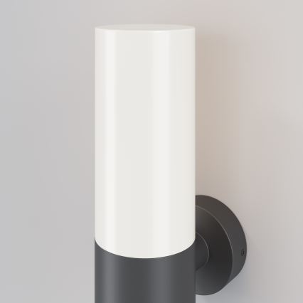 Maytoni O418WL-01GR - Vanjska zidna svjetiljka WILLIS 1xE27/60W/230V IP54 antracit