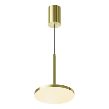 Maytoni P076PL-L12W3K-BS - LED Luster na sajli PLATO LED/12W/230V 3000K zlatna