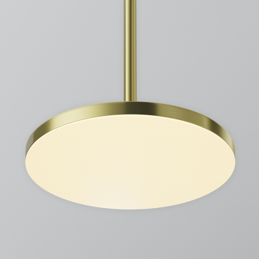 Maytoni P076PL-L12W3K-BS - LED Luster na sajli PLATO LED/12W/230V 3000K zlatna