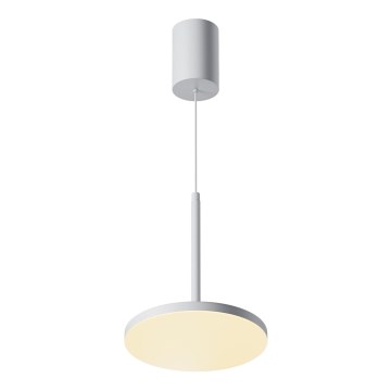 Maytoni P076PL-L12W3K-W - LED Luster na sajli PLATO LED/12W/230V 3000K bijela