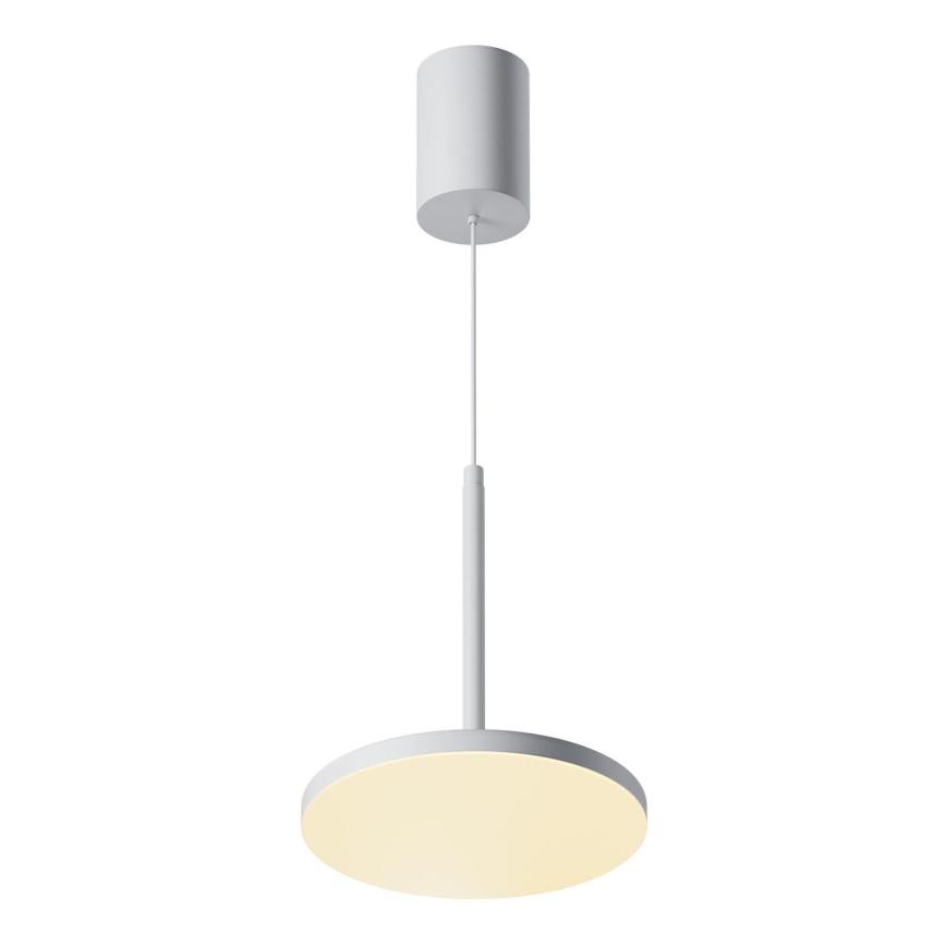 Maytoni P076PL-L12W3K-W - LED Luster na sajli PLATO LED/12W/230V 3000K bijela