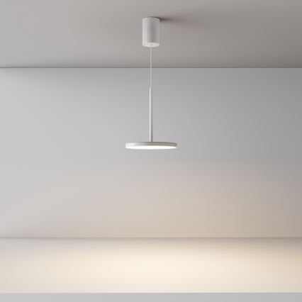 Maytoni P076PL-L12W3K-W - LED Luster na sajli PLATO LED/12W/230V 3000K bijela