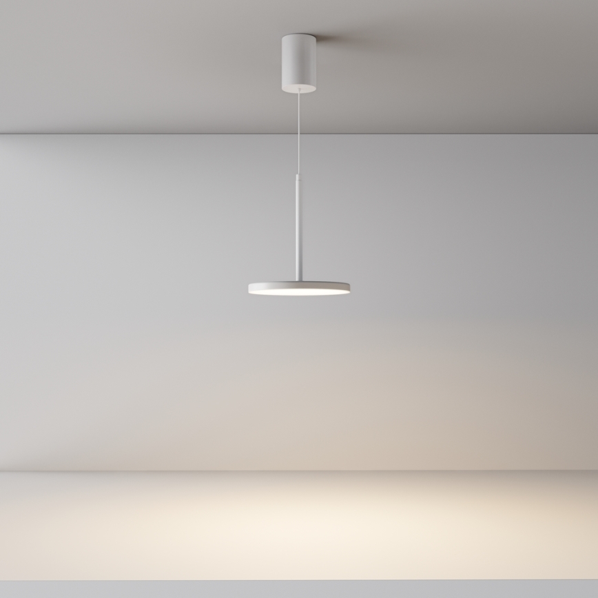 Maytoni P076PL-L12W3K-W - LED Luster na sajli PLATO LED/12W/230V 3000K bijela
