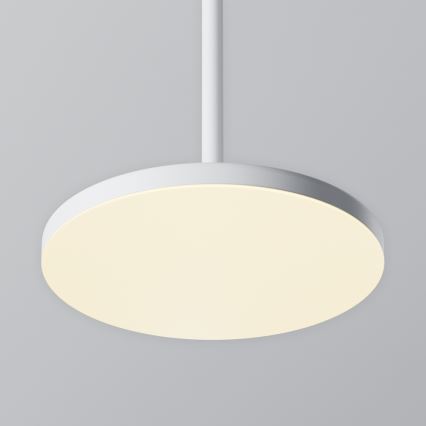 Maytoni P076PL-L12W3K-W - LED Luster na sajli PLATO LED/12W/230V 3000K bijela