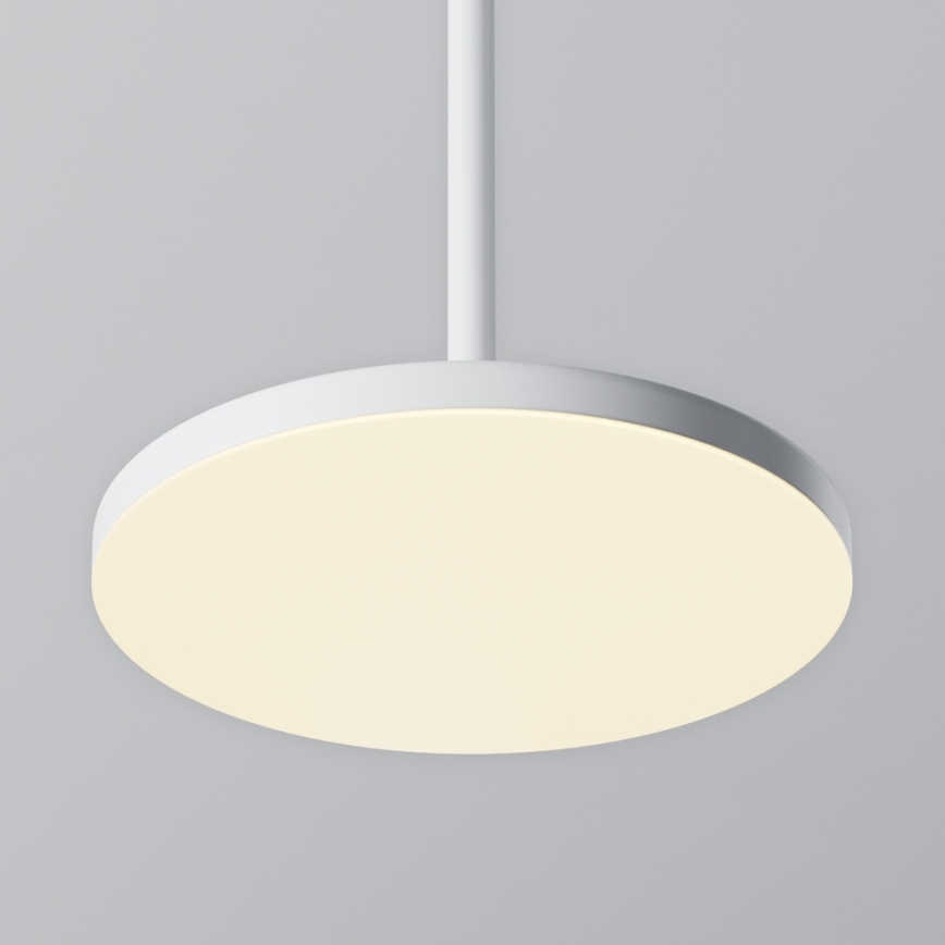 Maytoni P076PL-L12W3K-W - LED Luster na sajli PLATO LED/12W/230V 3000K bijela