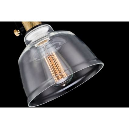 Maytoni T163-11-C - Luster na sajli IRVING 1xE27/40W/230V