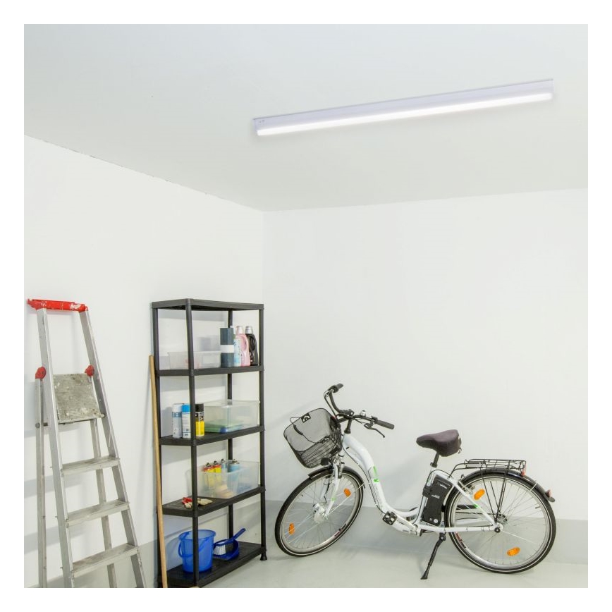 Müller-Licht - LED Fluorescentna svjetiljka BASIC LED/15W/230V 60 cm