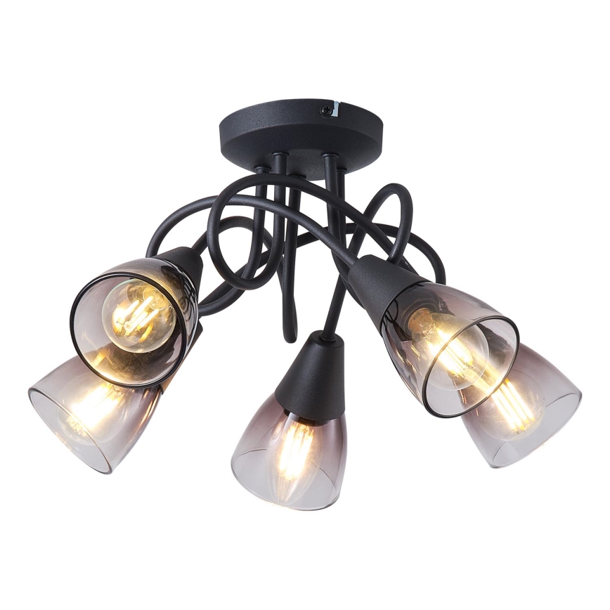 Nadgradni luster CLASSY 5xE14/7W/230V