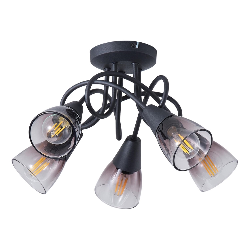 Nadgradni luster CLASSY 5xE14/7W/230V