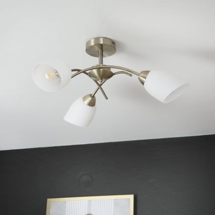 Nadgradni luster DONNA 3xE27/60W/230V patina