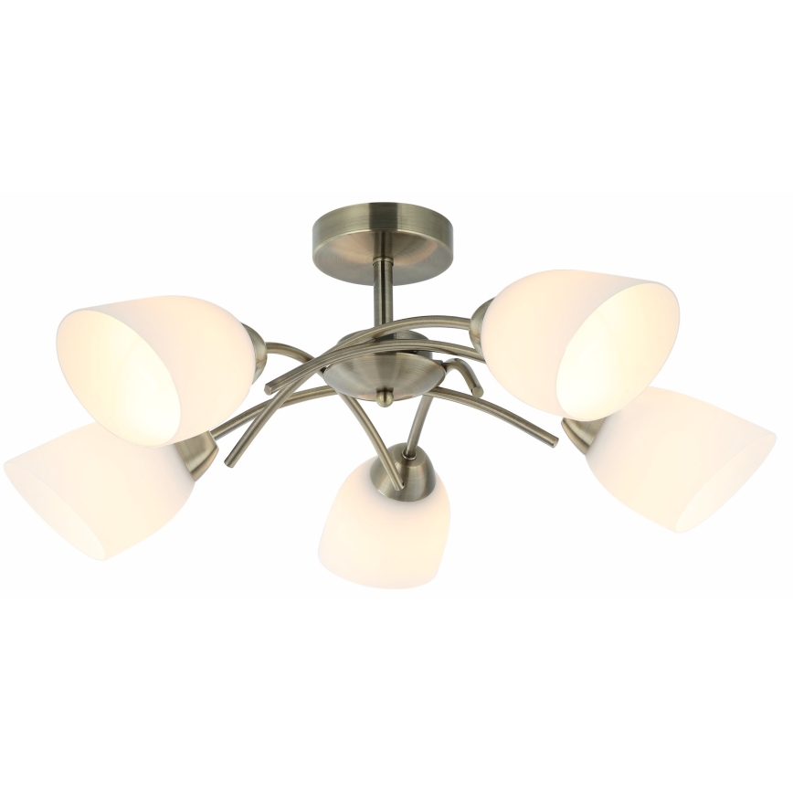 Nadgradni luster DONNA 5xE27/60W/230V patina