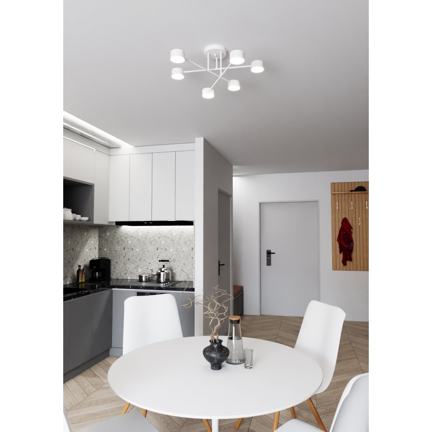 Nadgradni luster HALO 6xGX53/8W/230V bijela