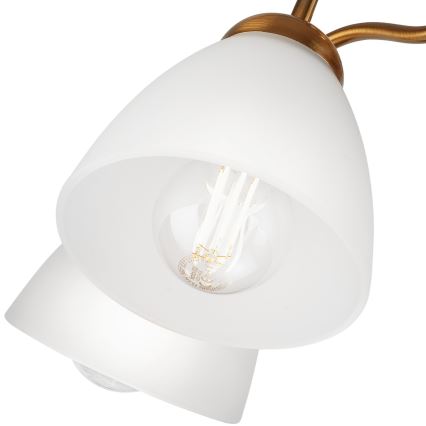 Nadgradni luster MIRANDA 1xE27/60W/230V zlatna