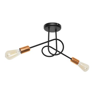 Nadgradni luster OXFORD 2xE27/15W/230V crna
