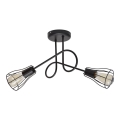 Nadgradni luster OXFORD 2xE27/15W/230V