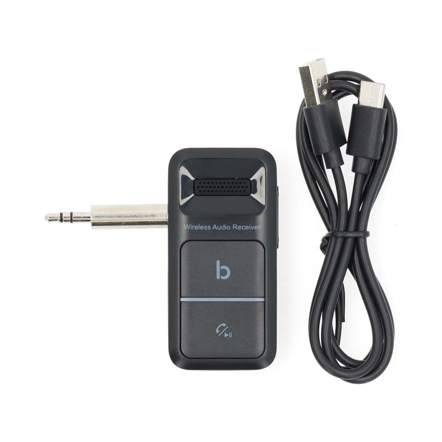 Prijenosni prijemnik Bluetooth AUX