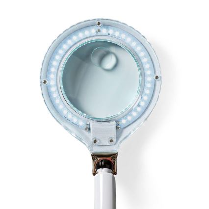 LED Stolna lampa s povećalom LED/6,5W/230V 6500K