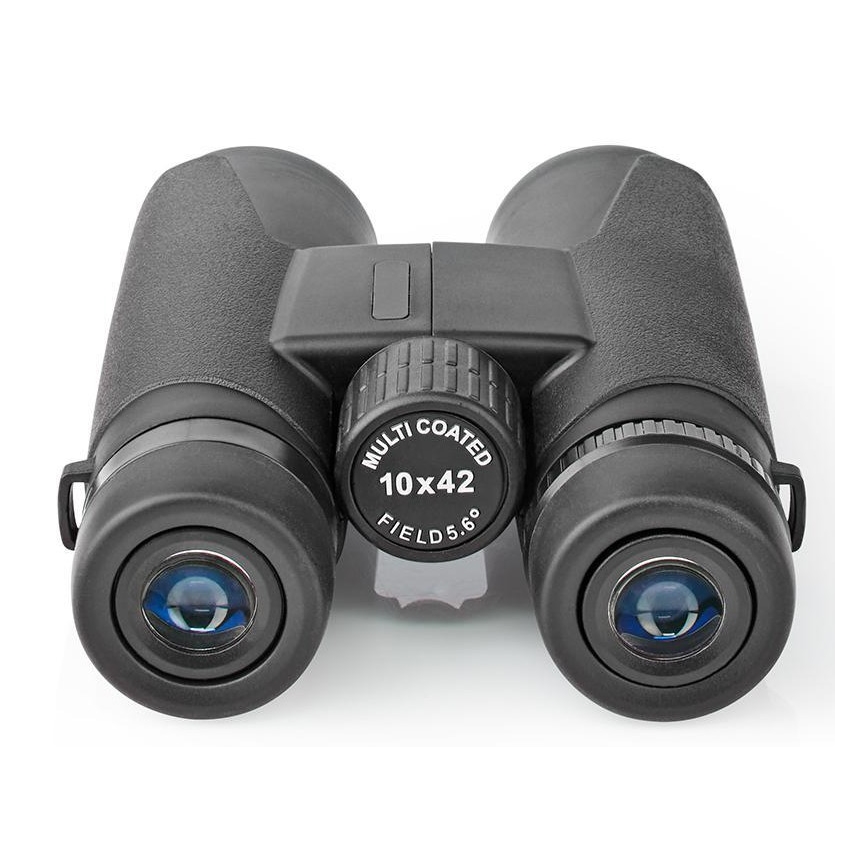 Dvogled 10x42