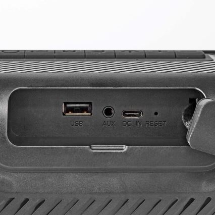 LED RGB Punjivi zvučnik 45W/3000 mAh IPX5