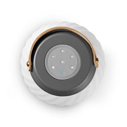 LED RGB Punjiva stolna lampa sa zvučnikom 60W/2200 mAh IPX5