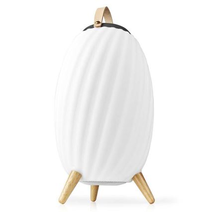 LED RGB Punjiva stolna lampa sa zvučnikom 60W/2200 mAh IPX5