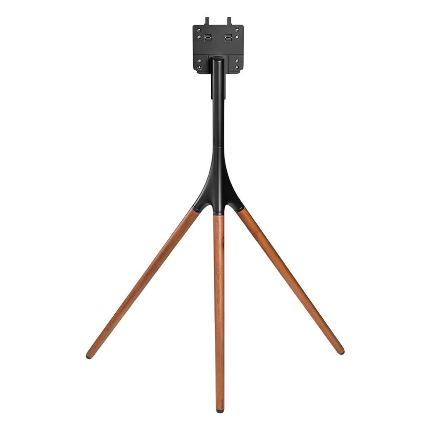 Podni stalak za TV 55-65” bukva