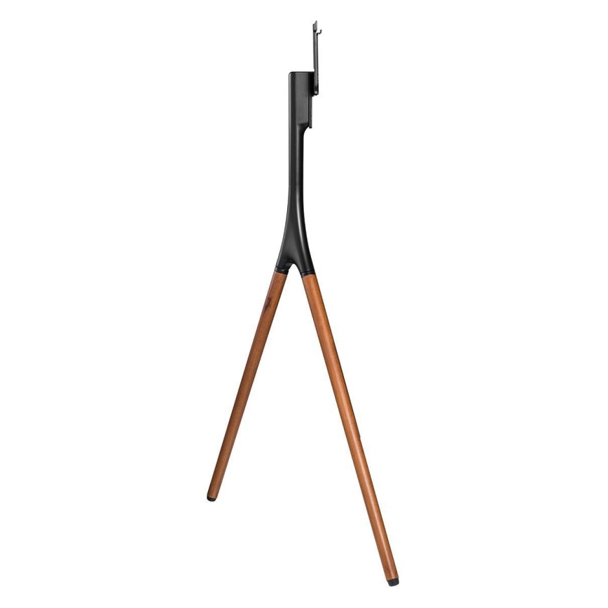 Podni stalak za TV 55-65” bukva