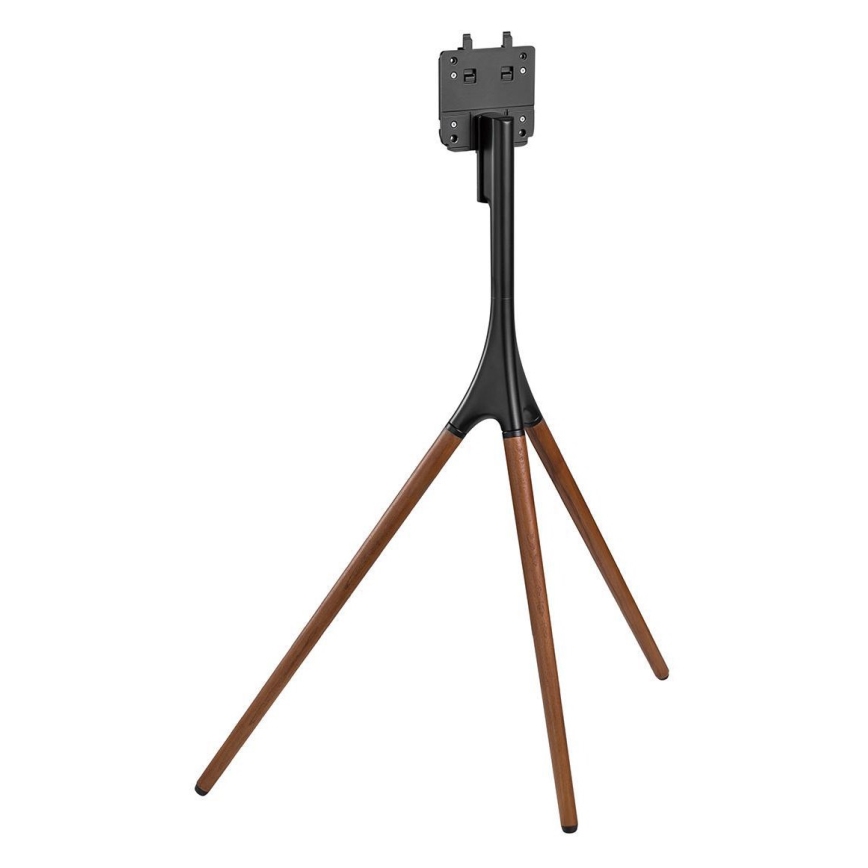 Podni stalak za TV 55-65” bukva